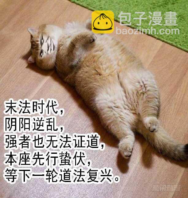 🍣铁姬钢兵 江山依旧 第16页