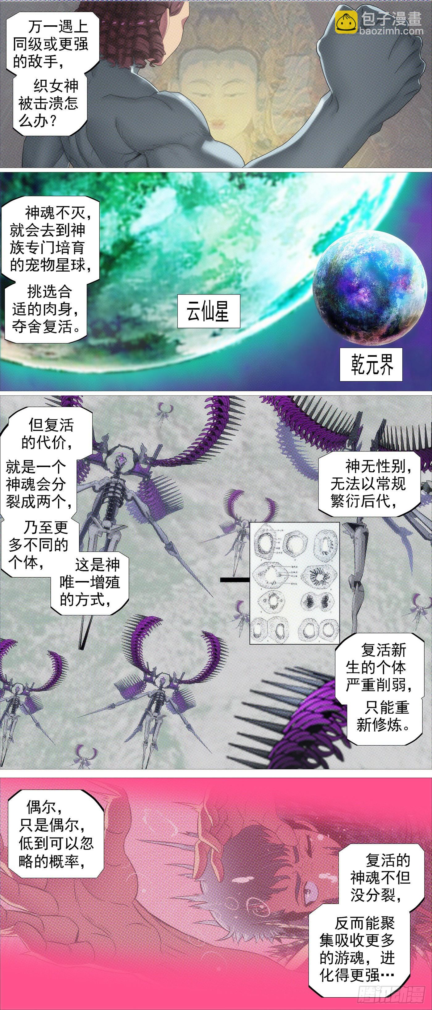 🍣铁姬钢兵 魂级由来 第2页