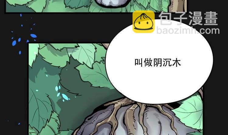 第12话 阴沉木 3-第12话