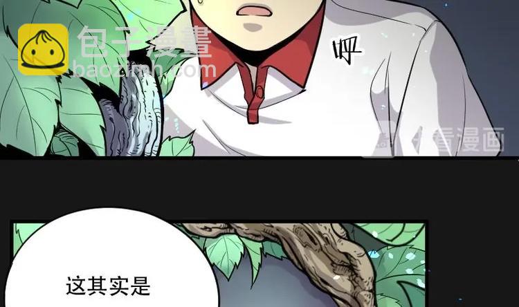 第12话 阴沉木 3-第12话
