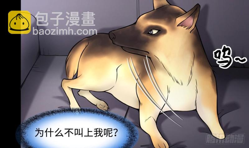 第386话 殉葬洵 1(1/2)-第384话