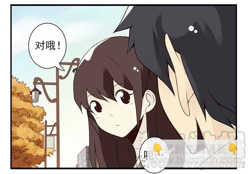 第五季41-42：买个窝吧-第220话