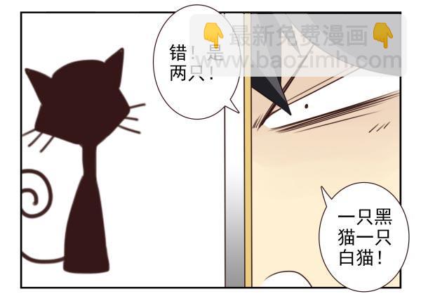 第三季11-12：那只白猫-第74话