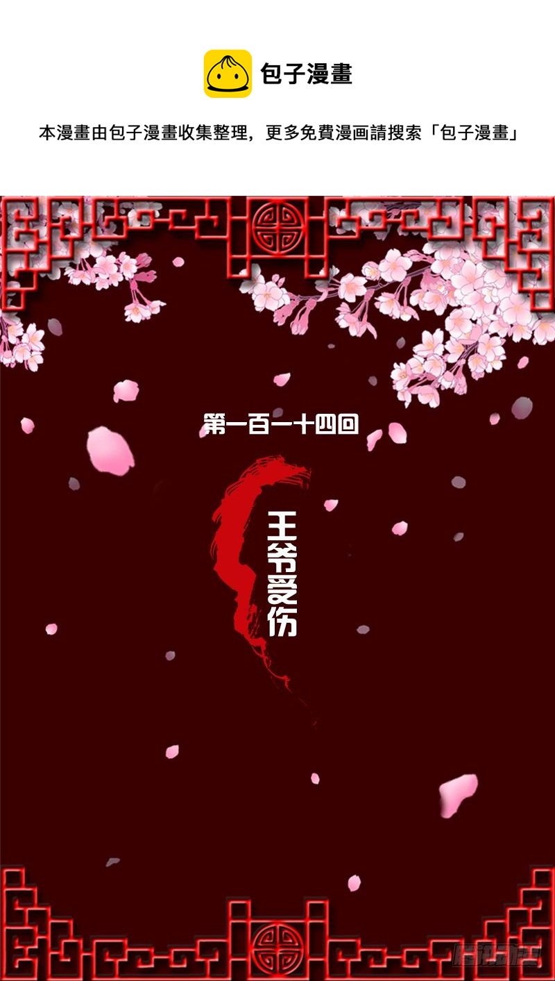 王爷受伤(1/2)-第112话