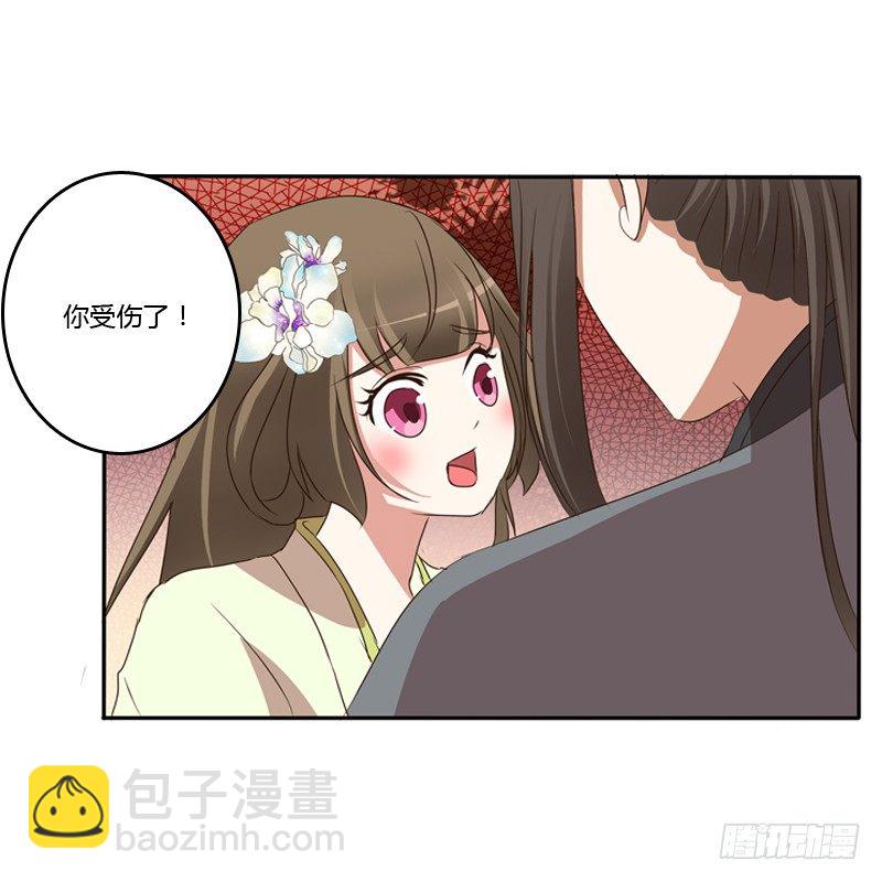 王爷受伤(1/2)-第112话