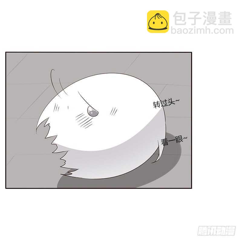 破布吗？(1/2)-第162话