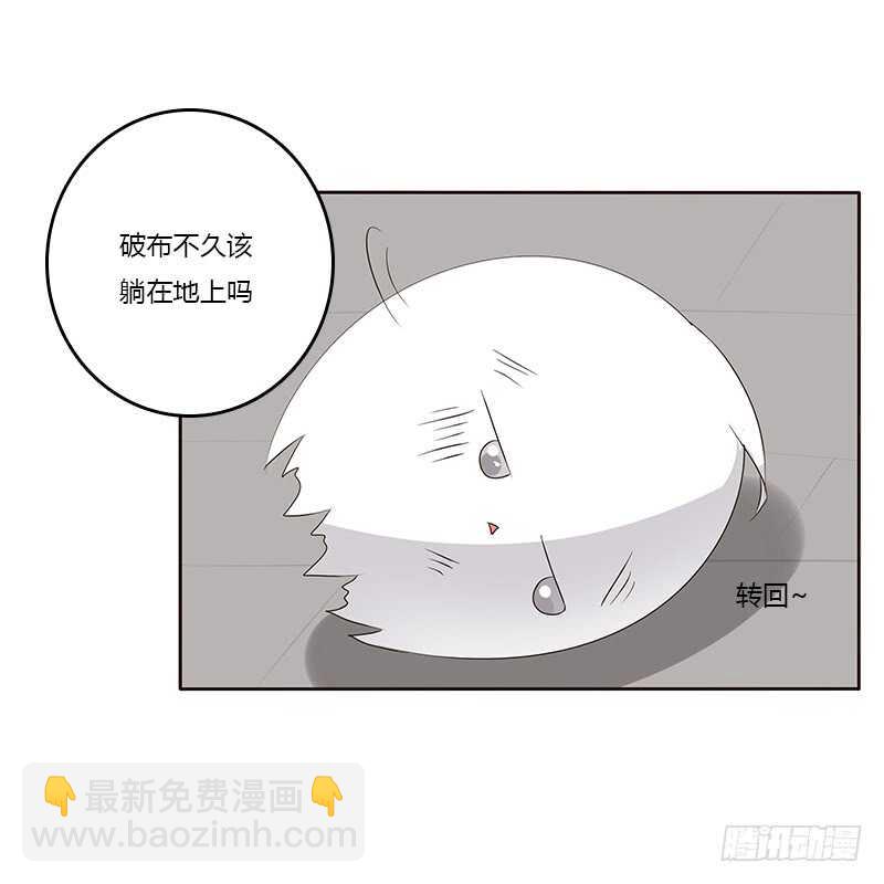 破布吗？(1/2)-第162话