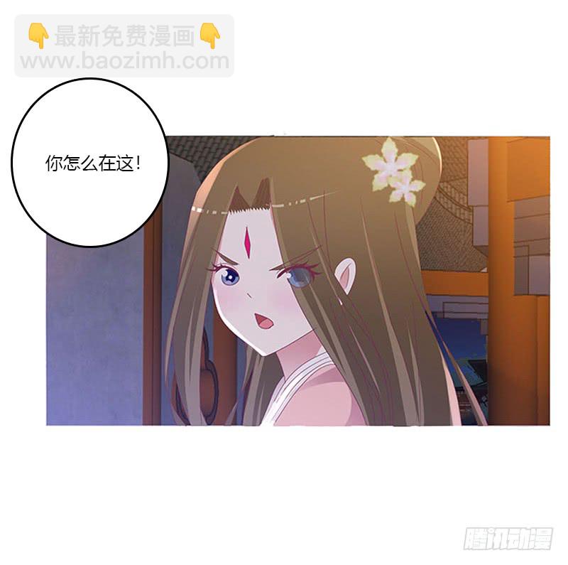 毫不犹豫(1/2)-第288话