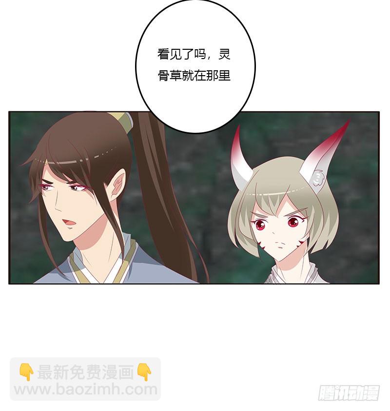 灵骨草(1/2)-第306话