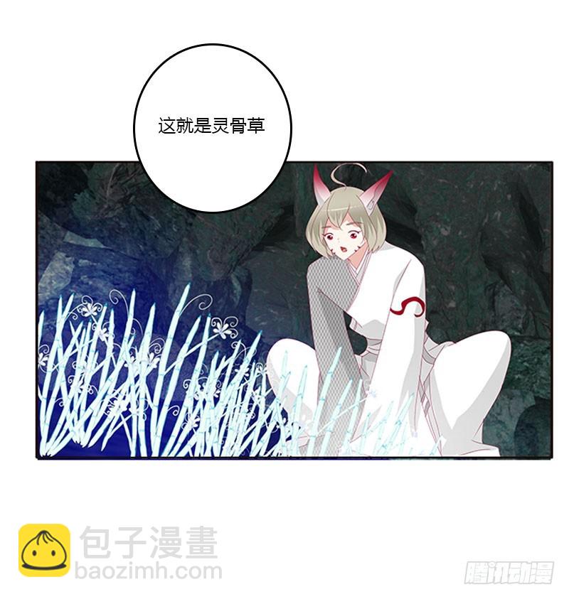 灵骨草(1/2)-第306话