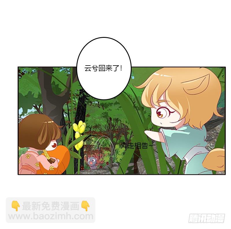 云兮回来了(1/2)-第336话