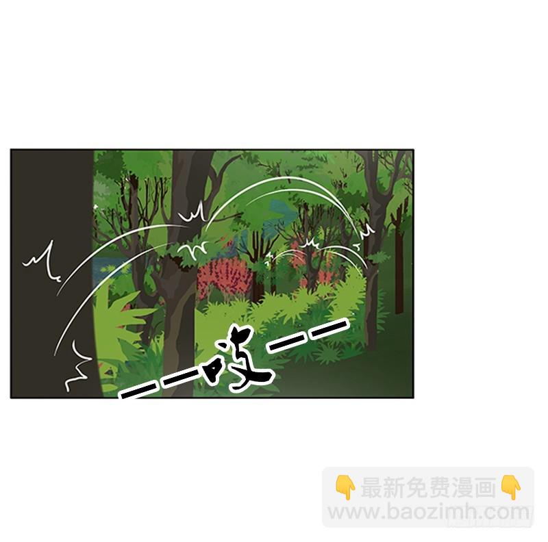 云兮回来了(1/2)-第336话