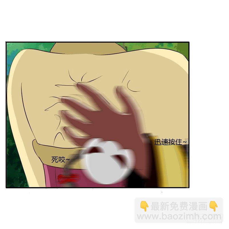 桃花劫？(1/2)-第36话