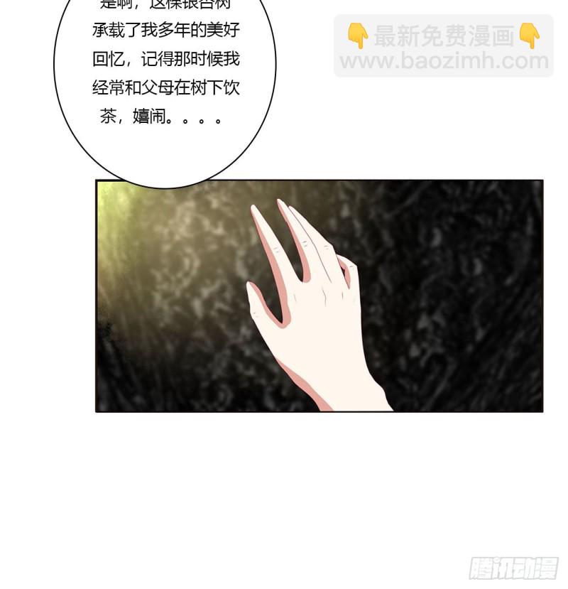 王府吉星(1/2)-第416话