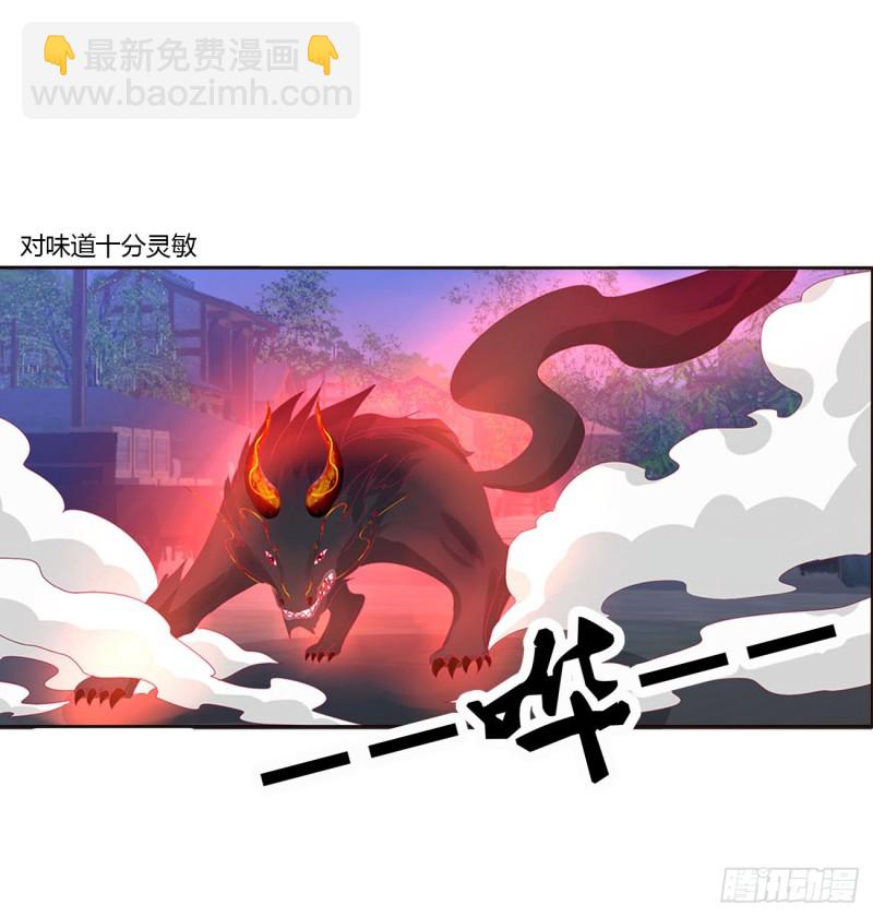 搜查营救(1/2)-第444话