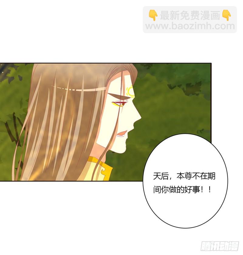 可怜的女人(1/2)-第456话