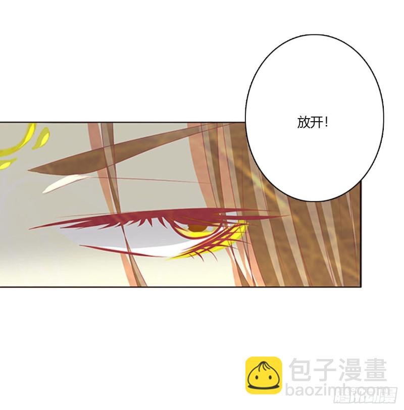 可怜的女人(1/2)-第456话