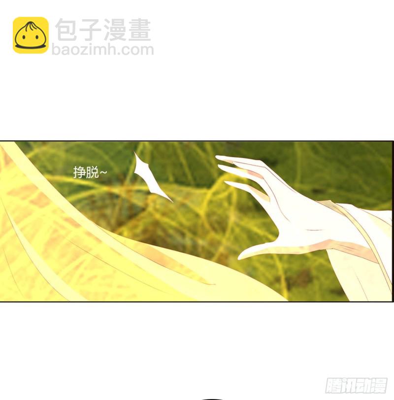可怜的女人(1/2)-第456话