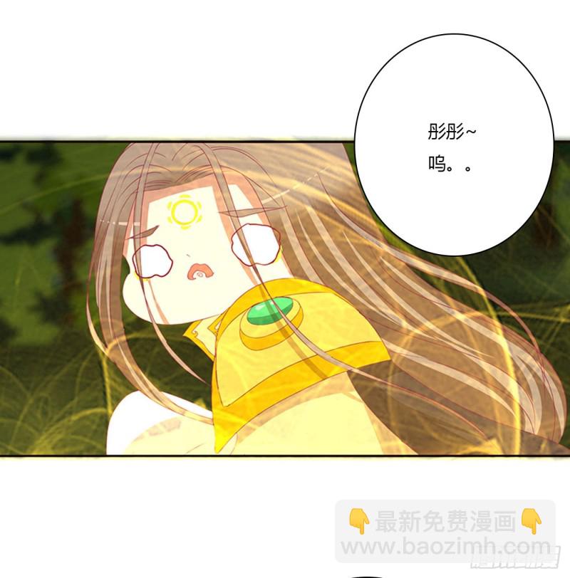 可怜的女人(1/2)-第456话