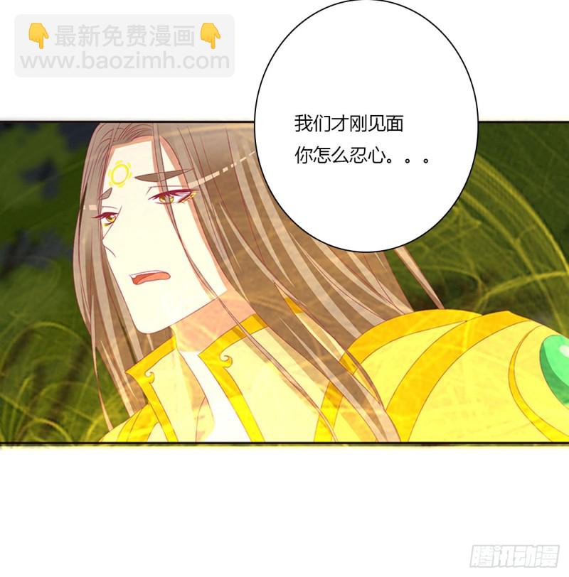 可怜的女人(1/2)-第456话