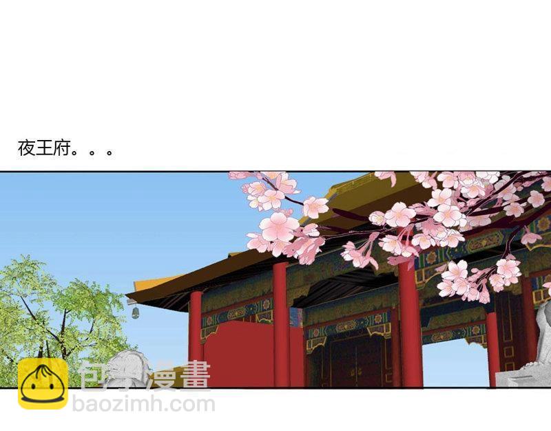 第573话 繁忙的夜王府（大结局）(1/4)-第566话