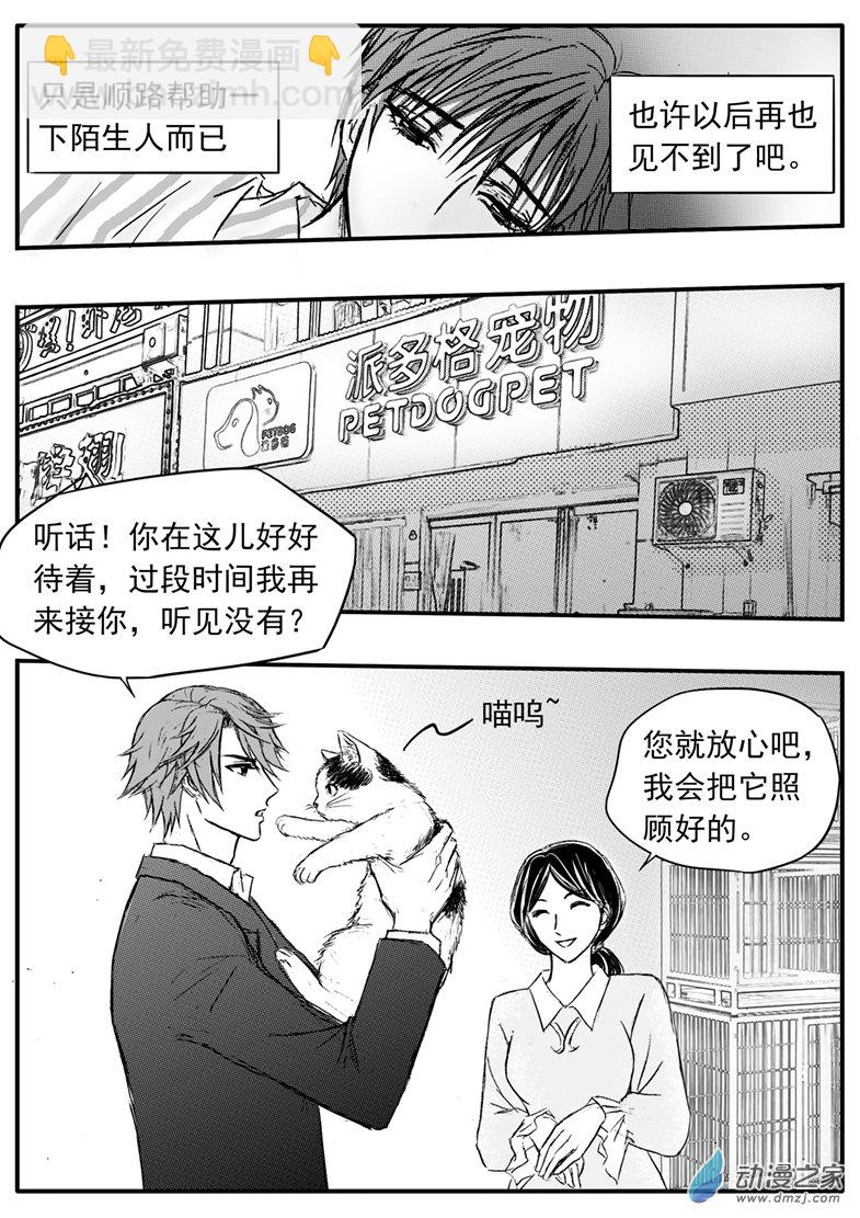 第40话 明媚的早上-第44话
