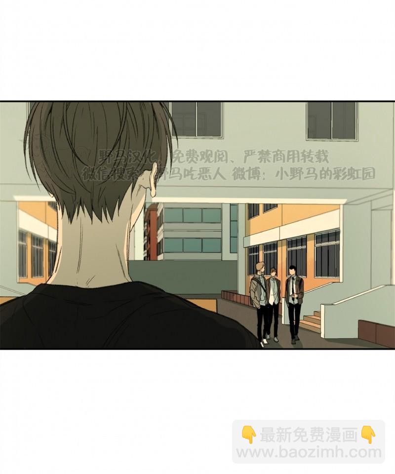 第52話(1/2) - 同情的形態 - 包子漫畫