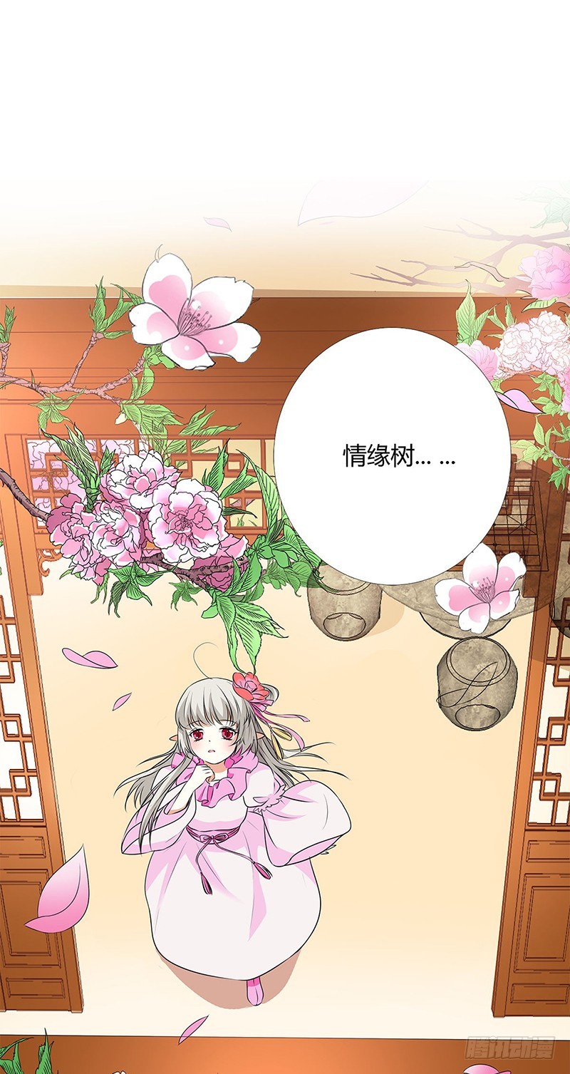 通天嗜宠-情缘树-第192话