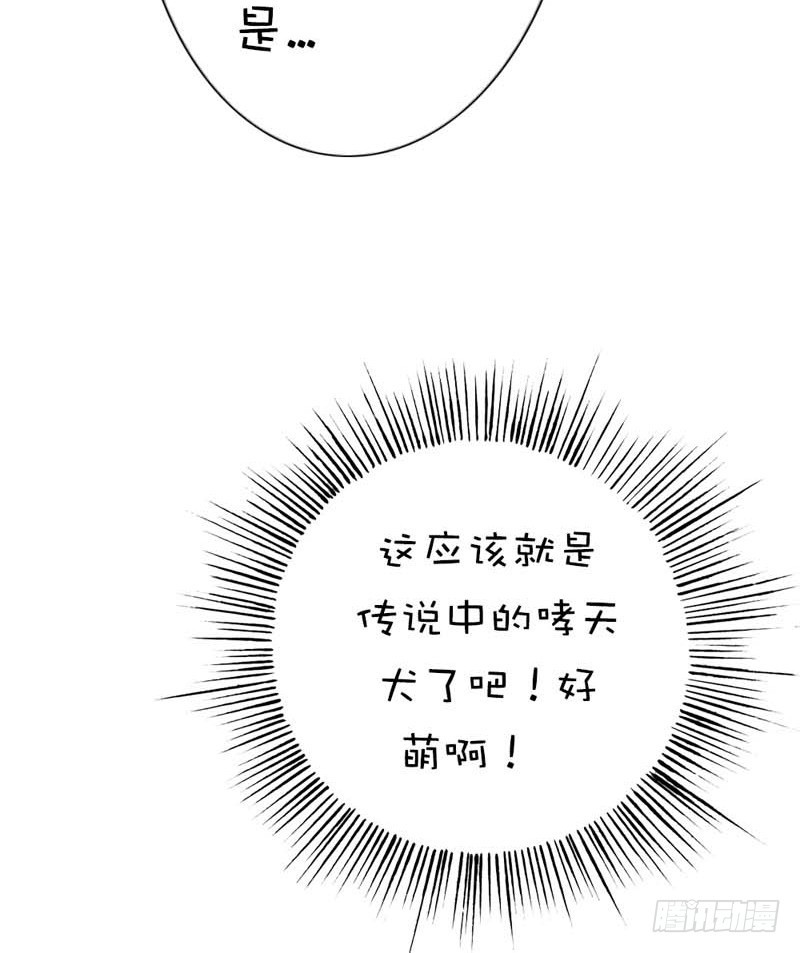 前传-好可爱的哮天犬-第44话