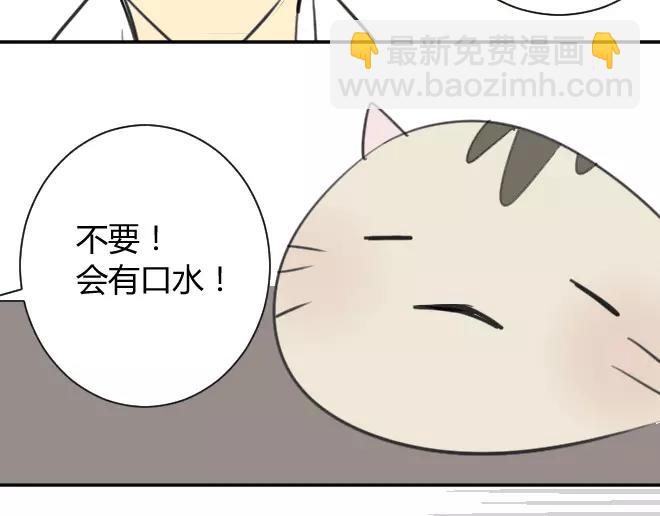 第12话 拿走了弟弟的大脸猫(1/2)-第12话