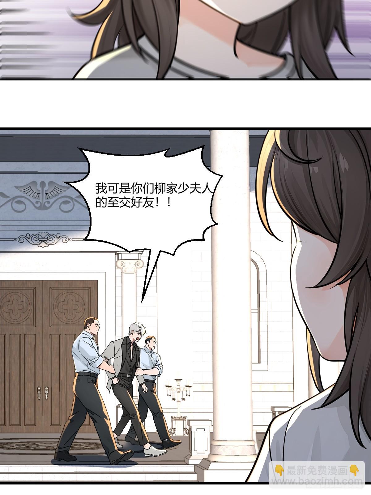 柳夫人的秘密情人(1/2)-第32话