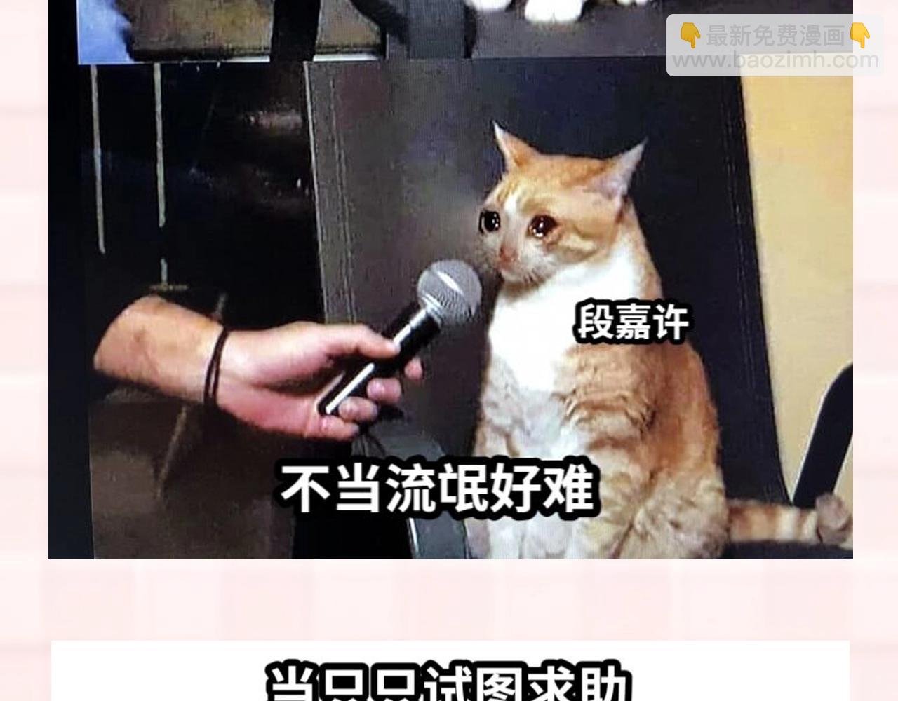🍣偷偷藏不住 第37期 梗图第二期来噜 第10页