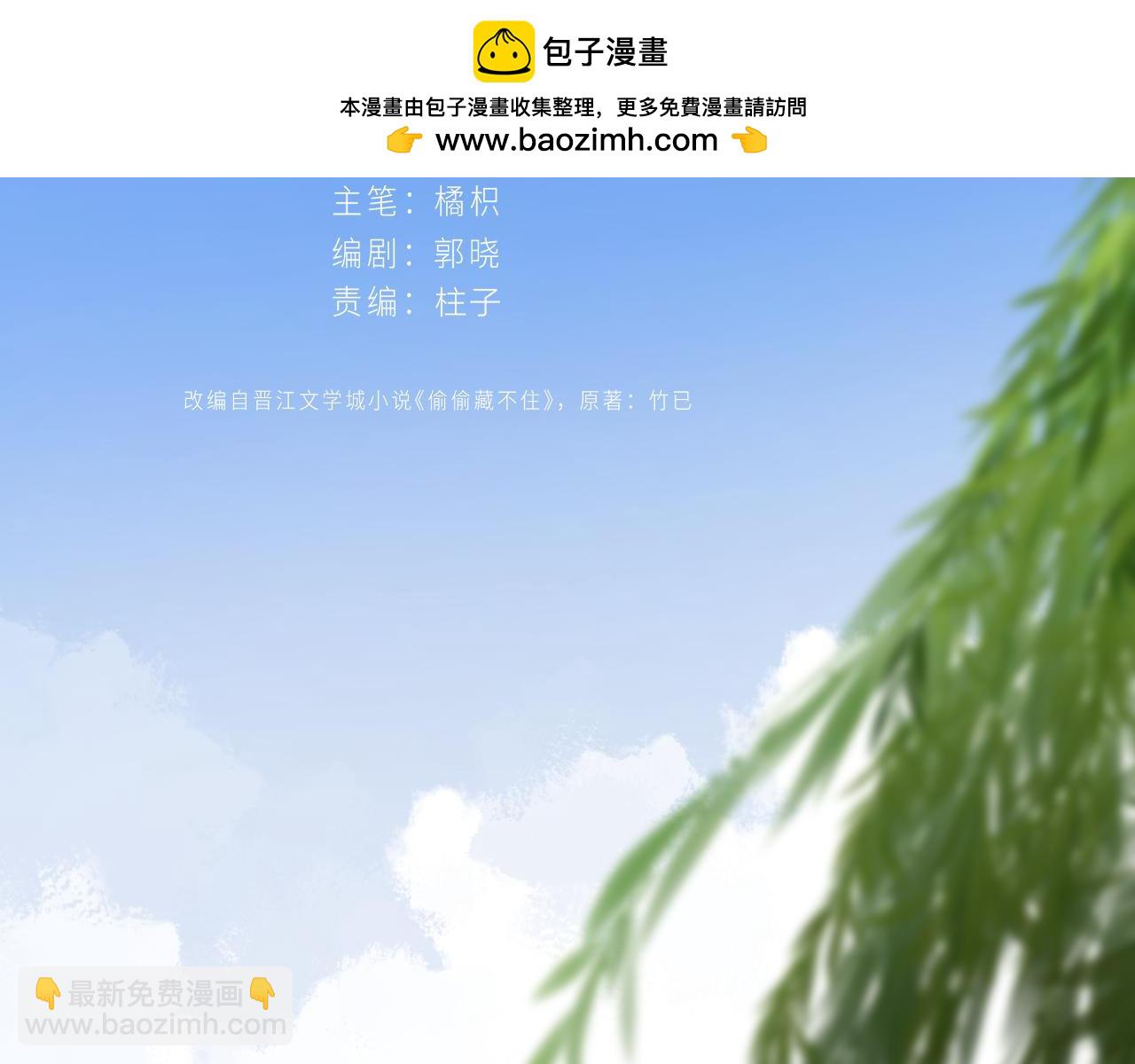🍣偷偷藏不住 番外：今日便是嘉期 第2页