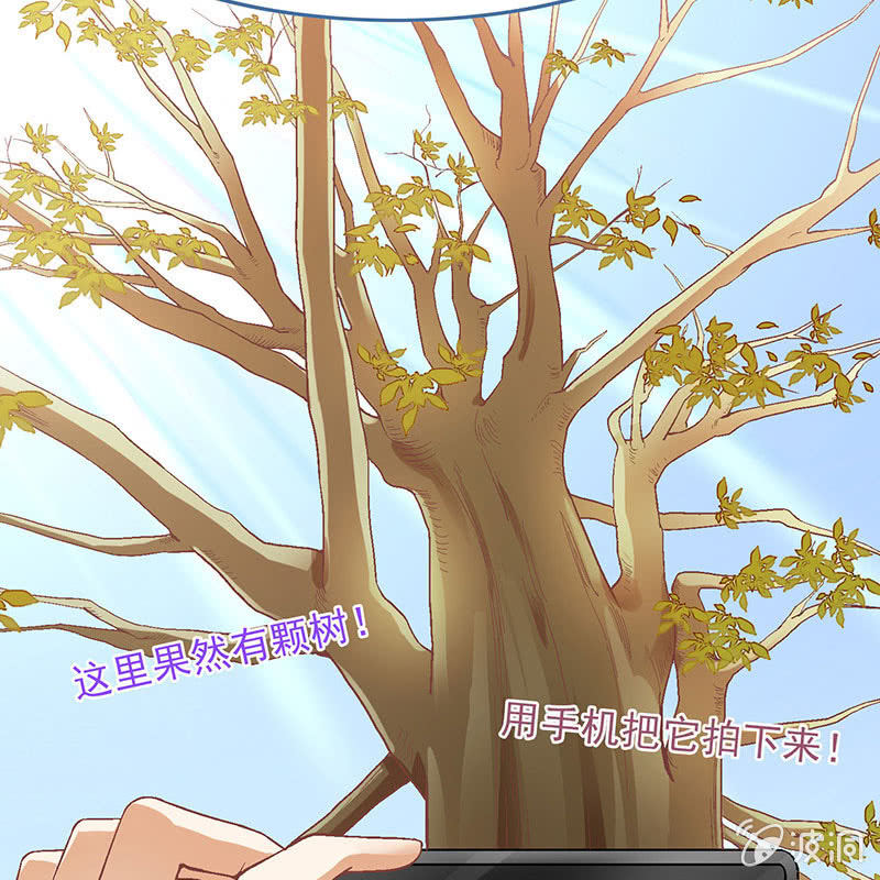 第八十一回(1/2)-第84话