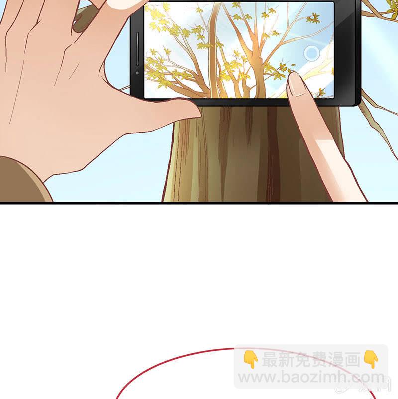 第八十一回(1/2)-第84话