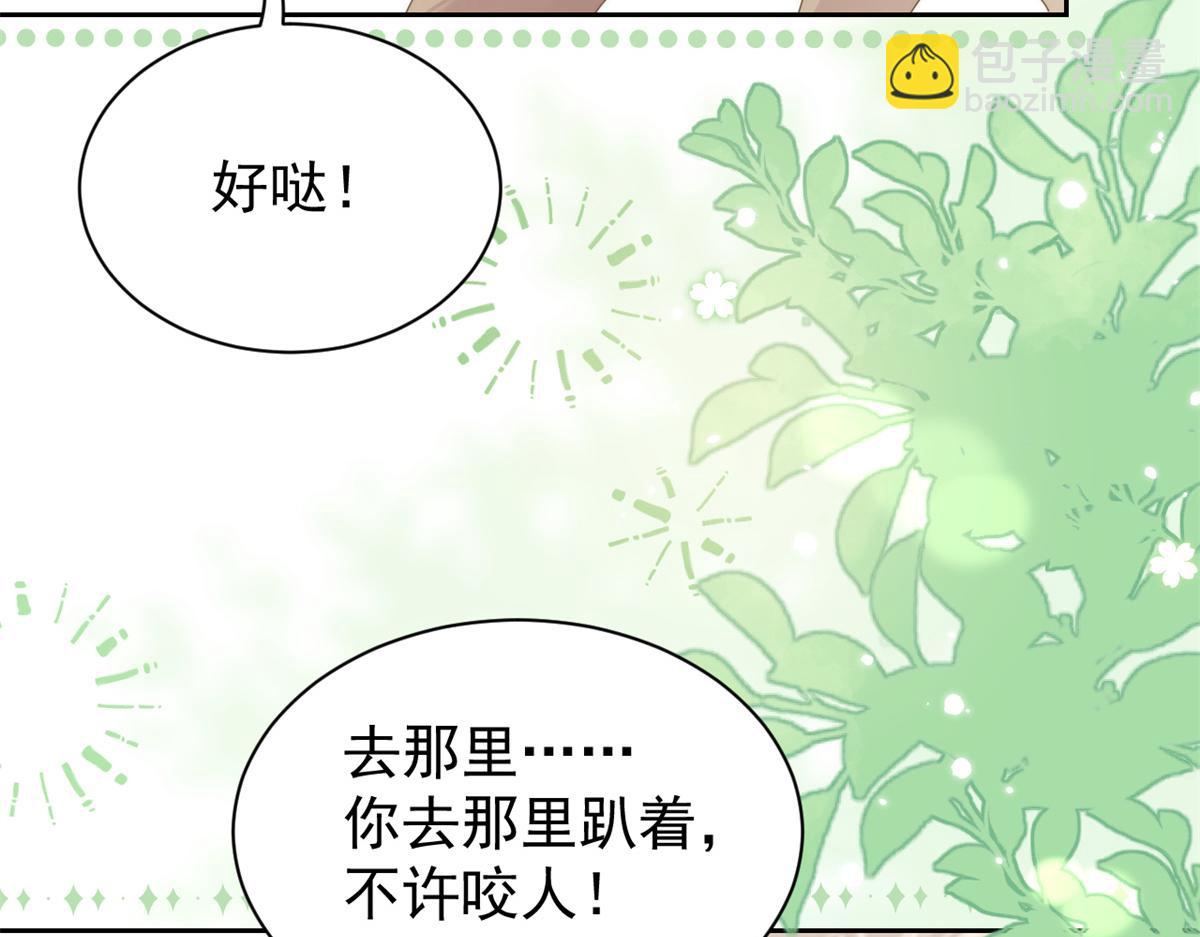 🍣团宠大佬三岁半 第113话 獒犬地瓜 第13页