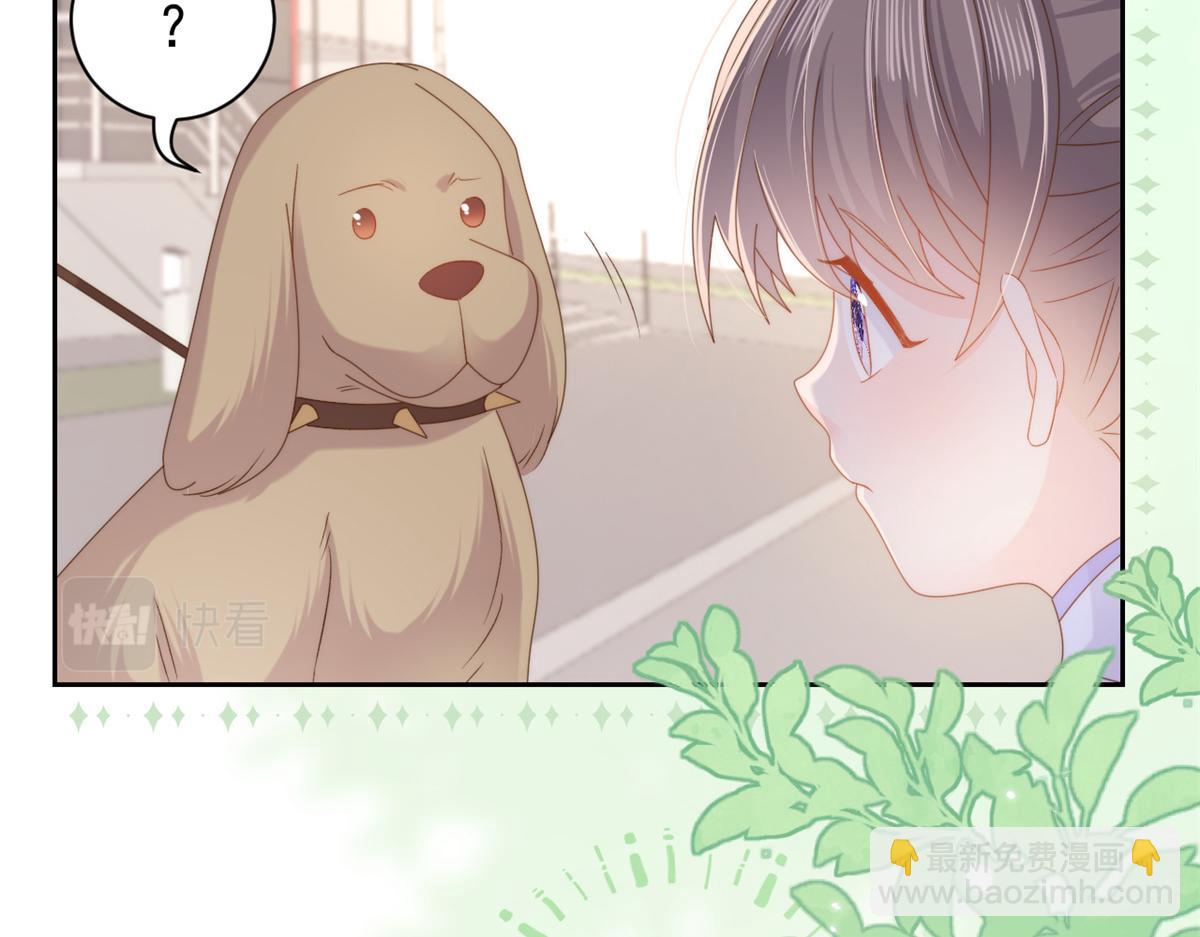 🍣团宠大佬三岁半 第113话 獒犬地瓜 第17页