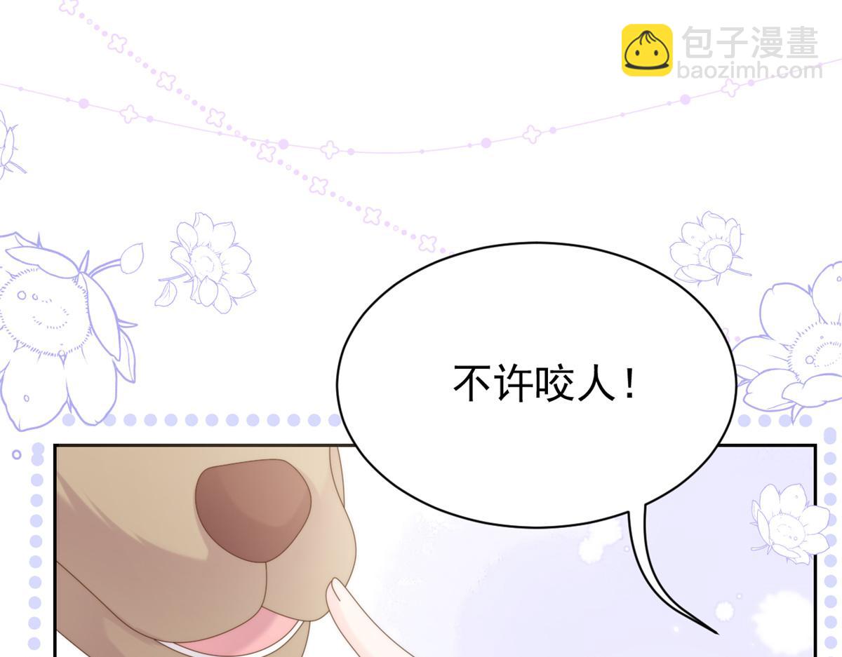 🍣团宠大佬三岁半 第113话 獒犬地瓜 第34页