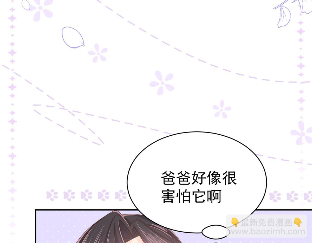 🍣团宠大佬三岁半 第113话 獒犬地瓜 第36页