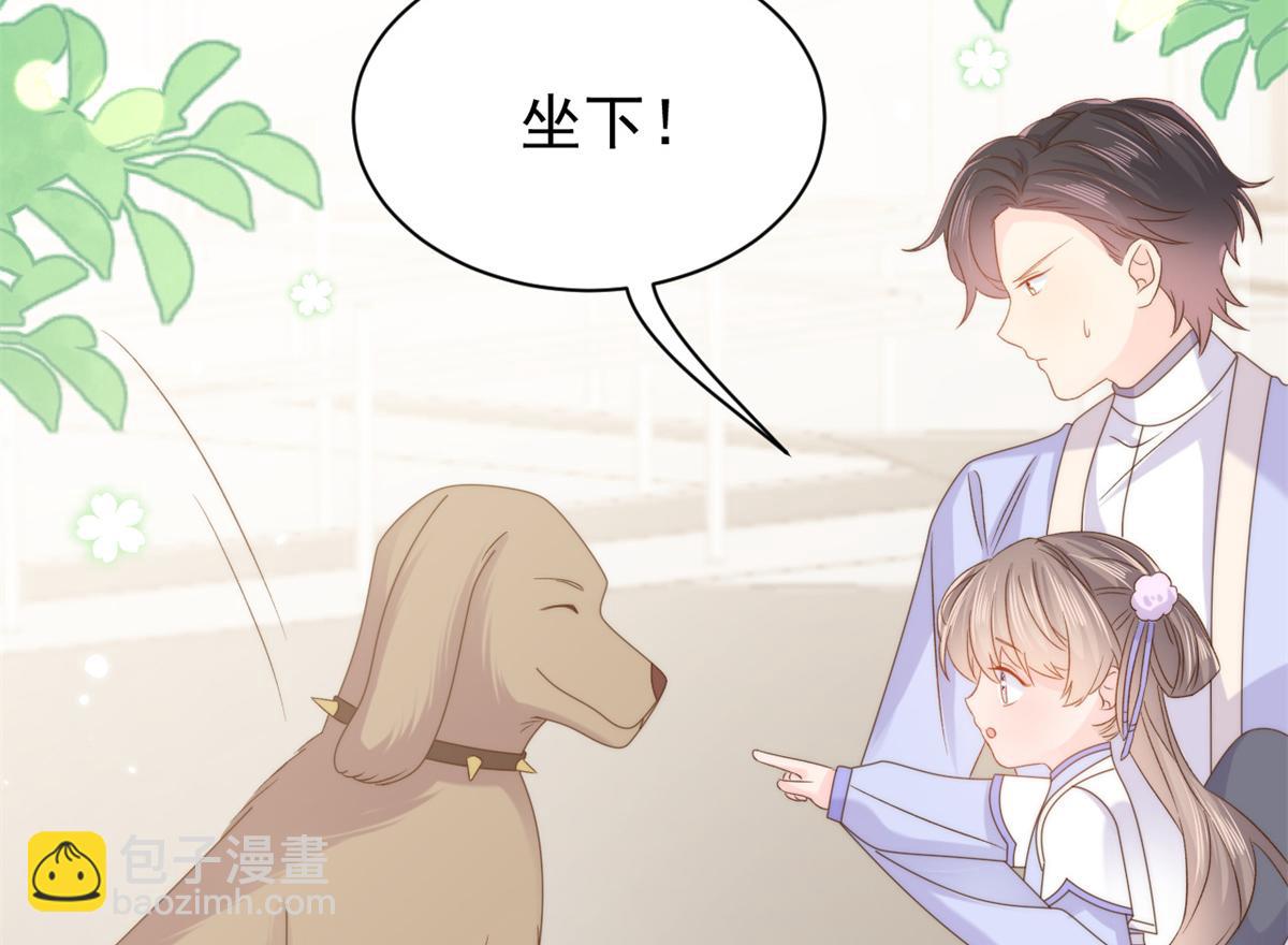 🍣团宠大佬三岁半 第113话 獒犬地瓜 第39页