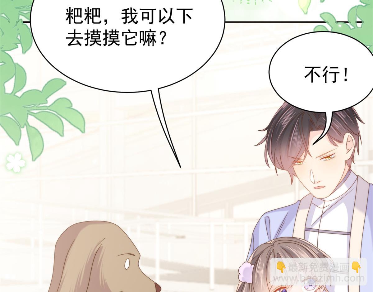 🍣团宠大佬三岁半 第113话 獒犬地瓜 第47页