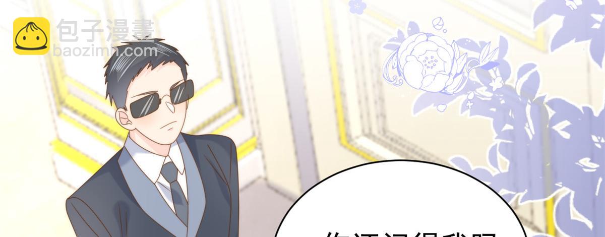 🍣团宠大佬三岁半 第207话 盗版镇南王！ 第18页