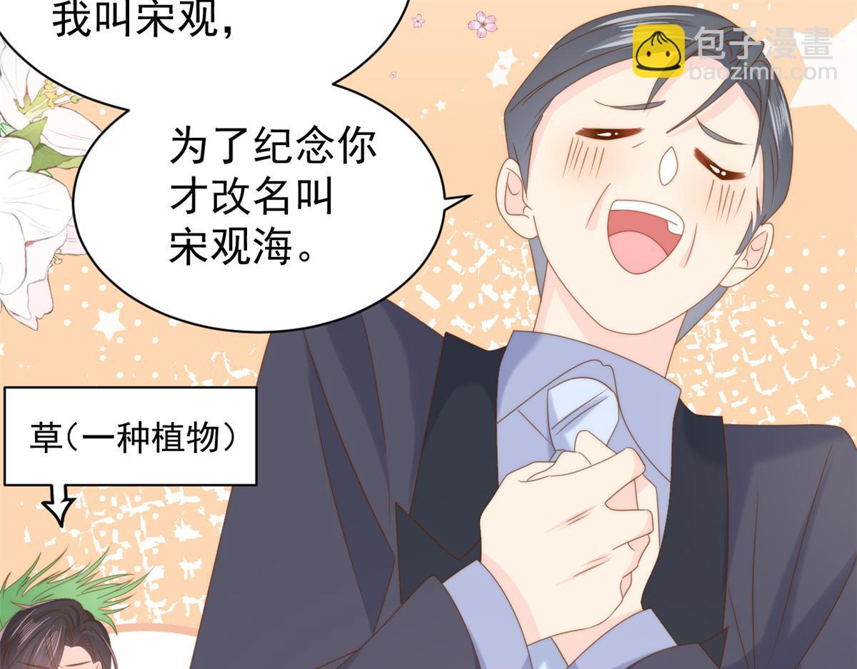 🍣团宠大佬三岁半 第207话 盗版镇南王！ 第28页