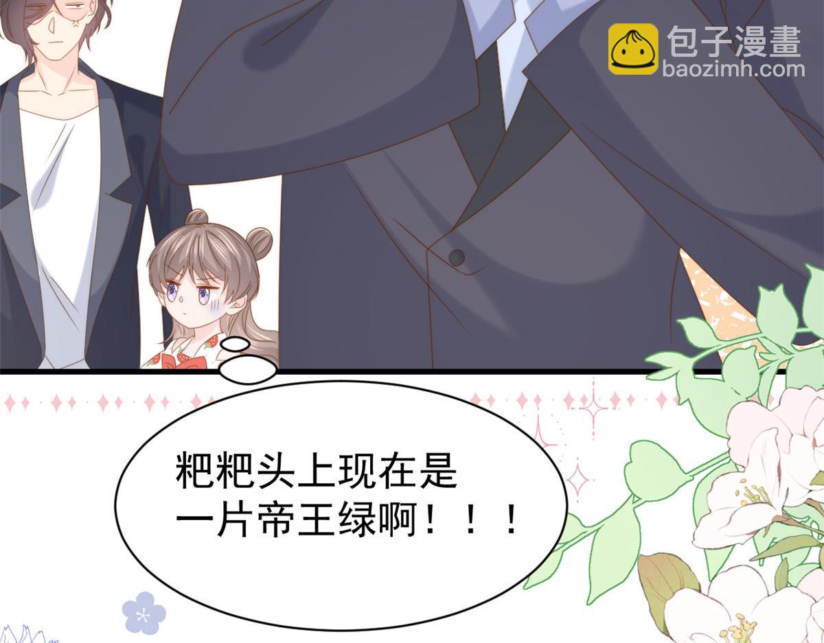 🍣团宠大佬三岁半 第207话 盗版镇南王！ 第29页