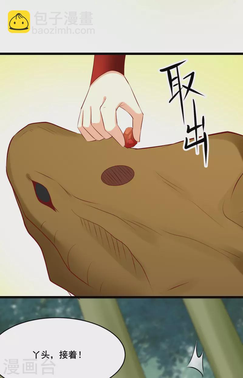 🍣徒弟都是女魔头 第21话 妖兽杀多了，该换人了 第30页