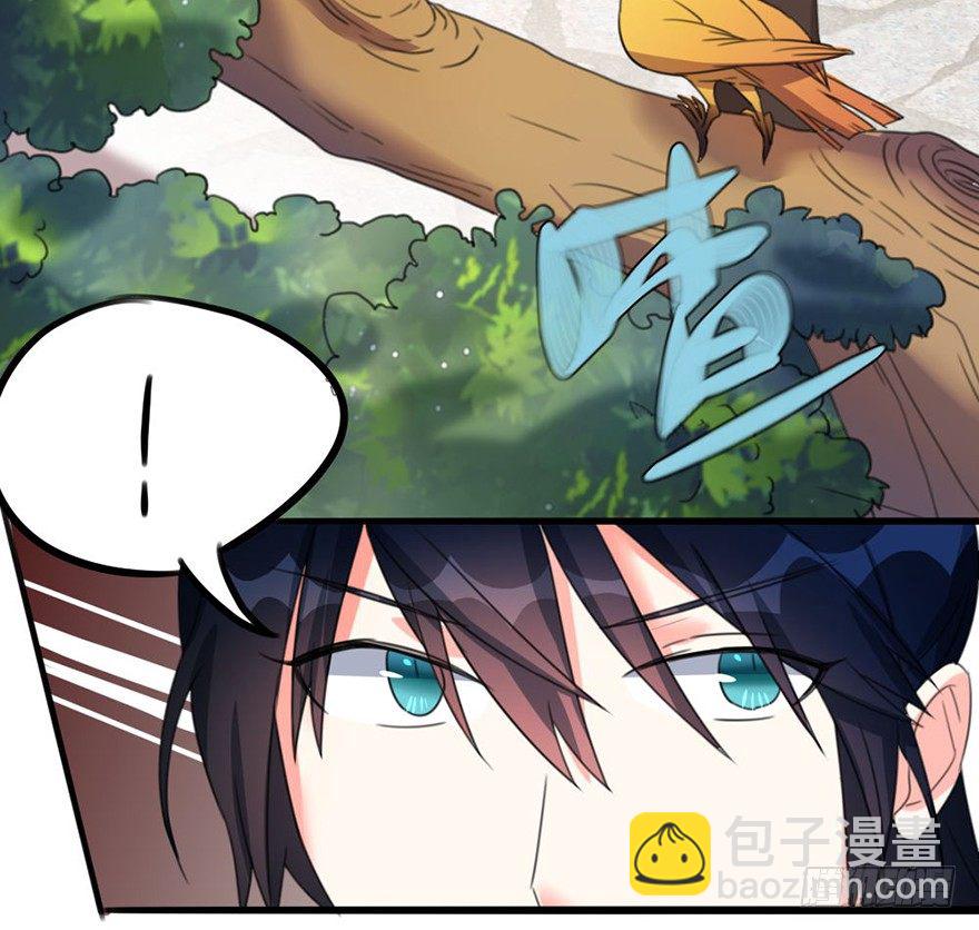 🍣土豪武侠梦 31 意想不到的赛况 第27页