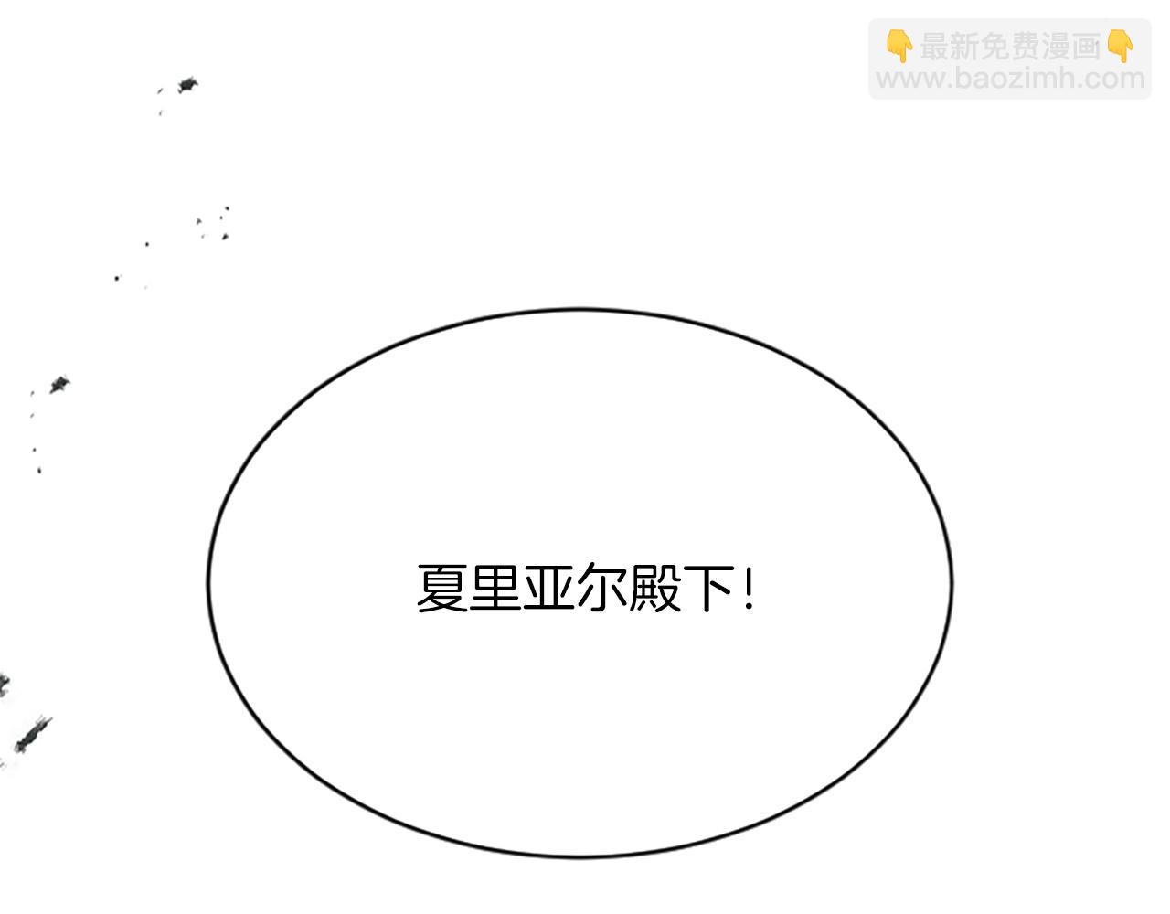 第七十四话 帕夏王子的打算(1/4)-第74话