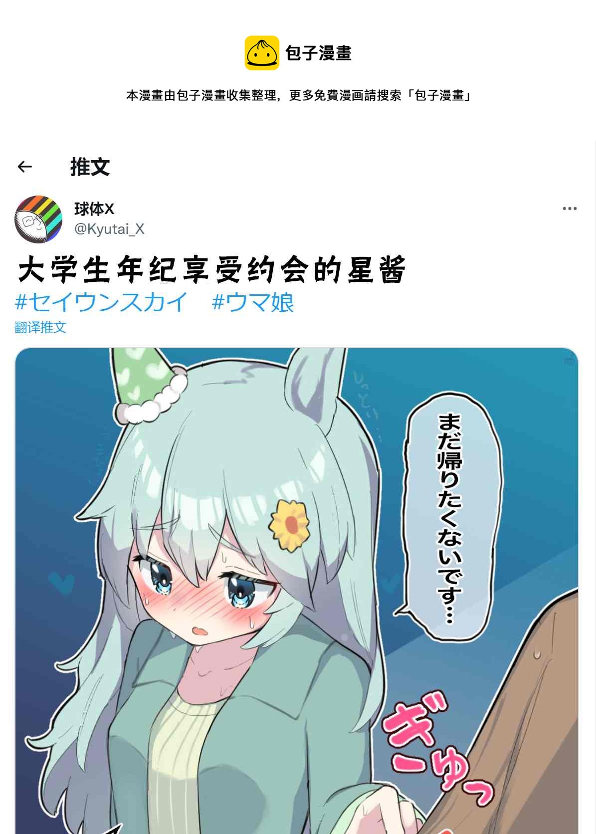🍣推特赛马娘同人 大学生sky 第1页