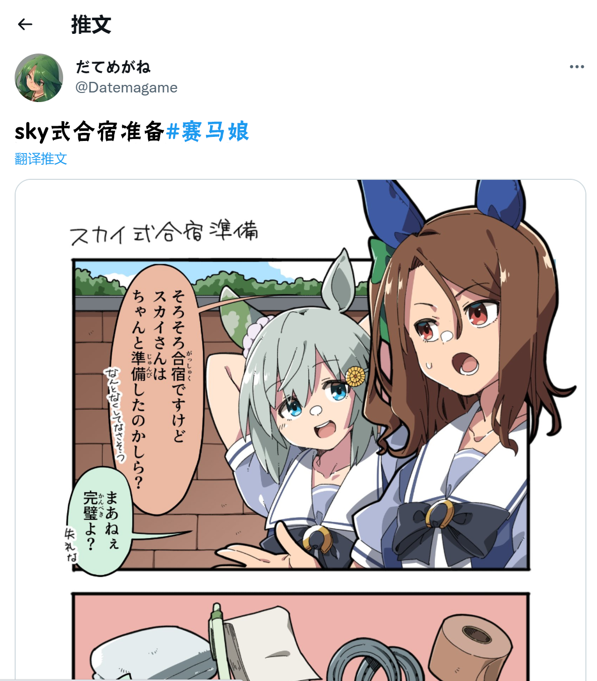 🍣推特赛马娘同人 sky式合宿准备 第2页