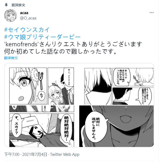 🍣推特赛马娘同人 sky钓上来的东西 第1页